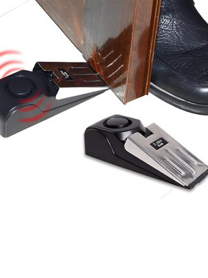  دزدگیر پادری 